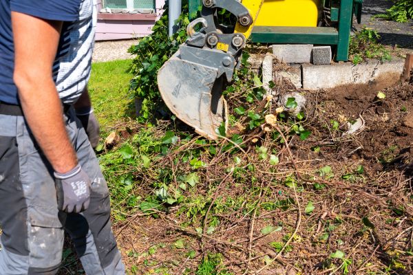 Cost of Hedge Removal Service in Lenexa