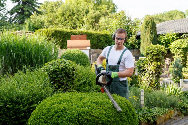 Cost of Shrub Maintenance in Lenexa
