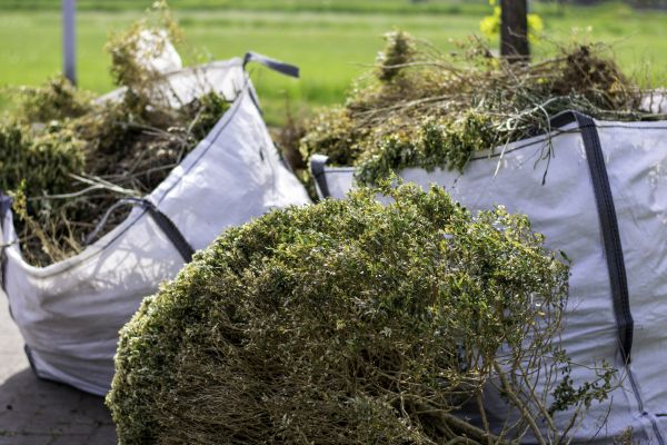 Cost of Plant Removal Service in Lenexa