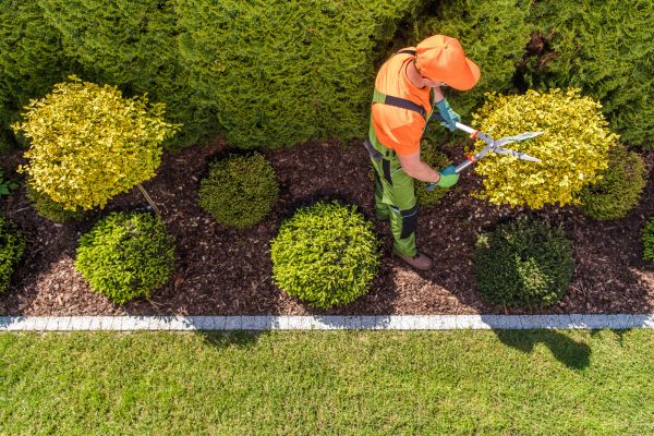 Cost of Topiary Trimming in Lenexa