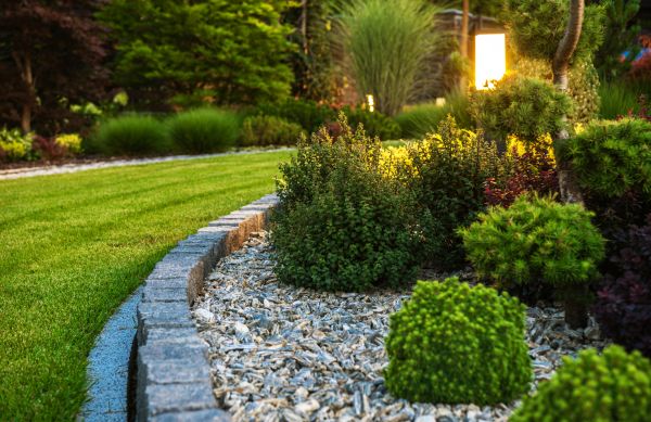 Cost of Bush Relocation in Lenexa