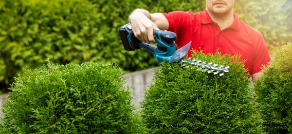 Cost of Hedge Shaping Service in Lenexa