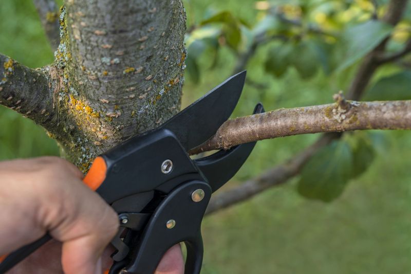 Bush Pruning
