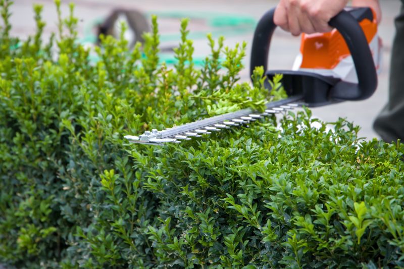 Evergreen Hedge Trimming