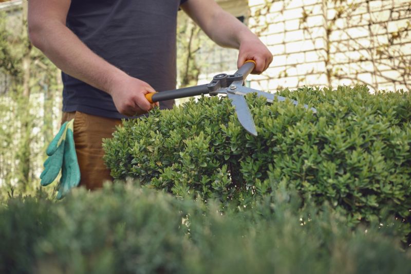 Shrub Pruning Process